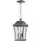 Quoizel Bardstown Outdoor Hanging Lantern BDS1910AGV - alternate 1